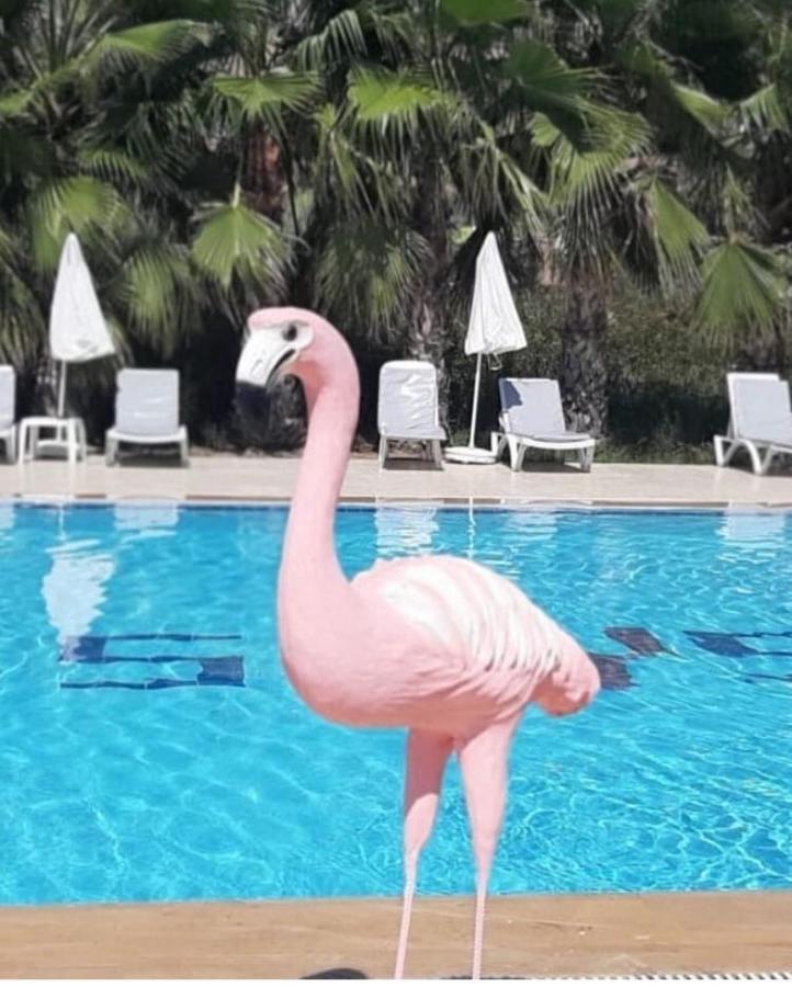 Skys Beach Hotel Manavgat Εξωτερικό φωτογραφία